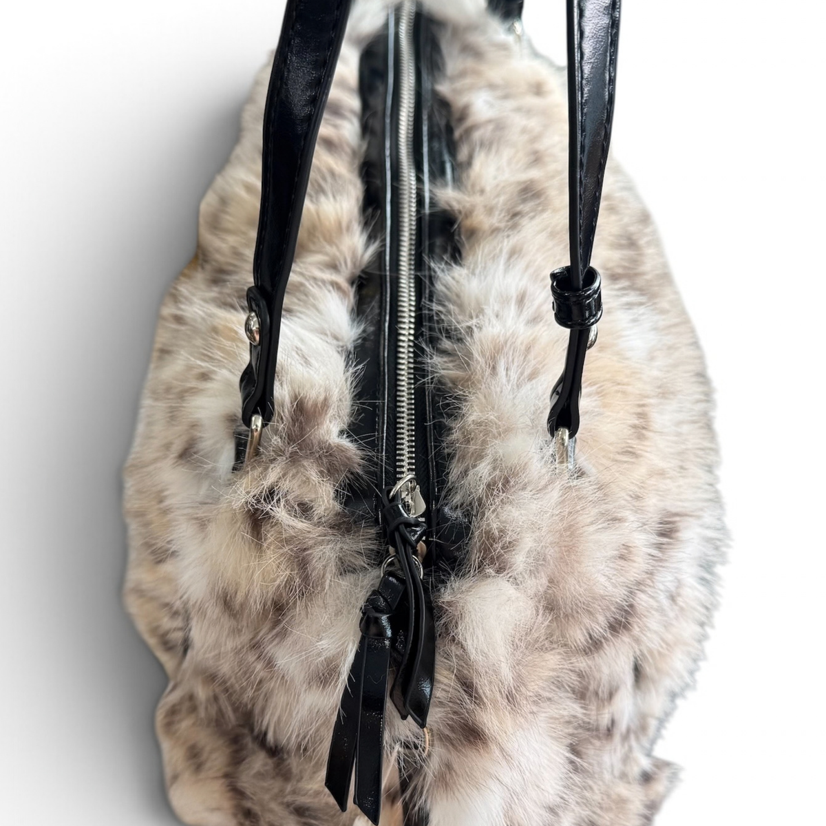 Lince