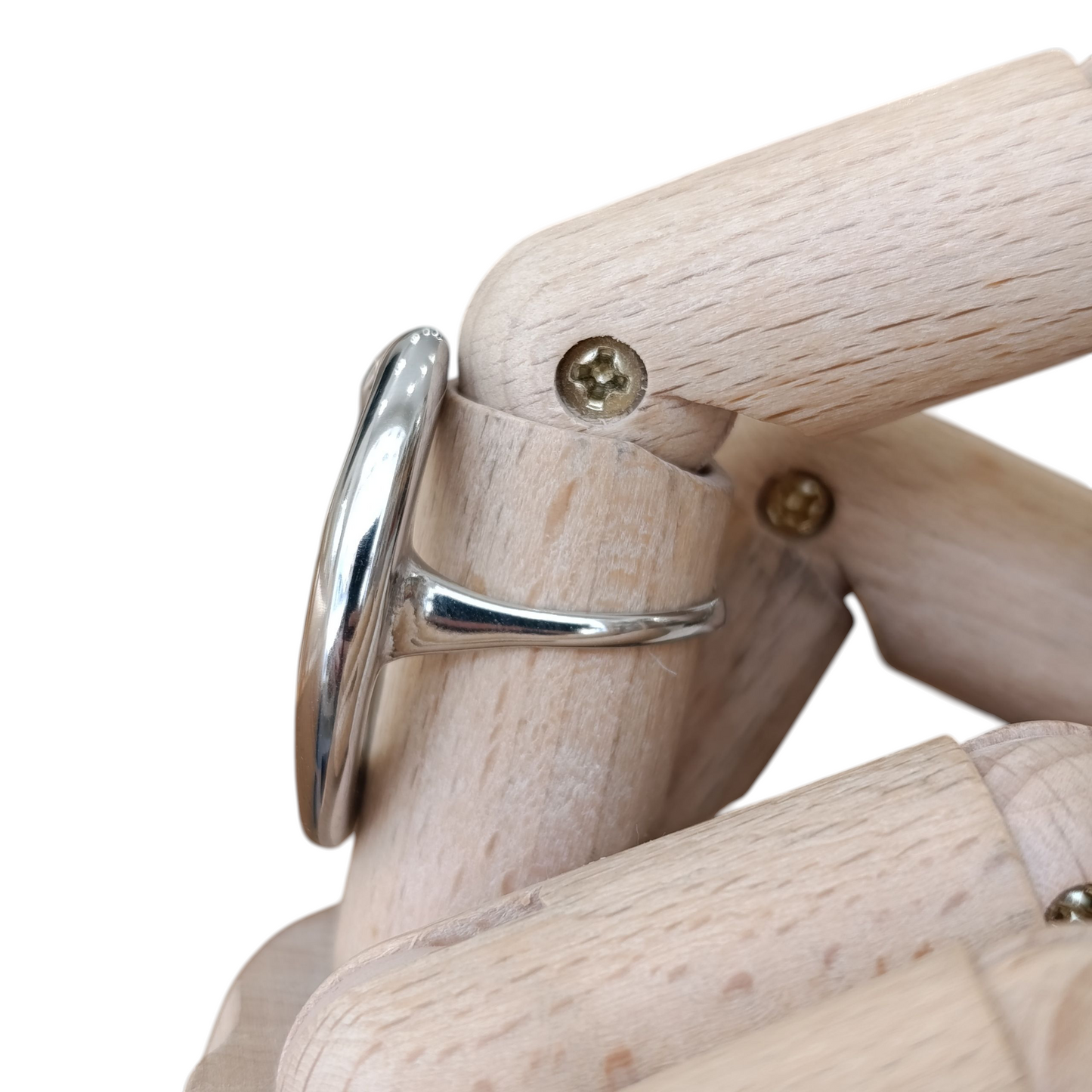 Anillo circunferencia