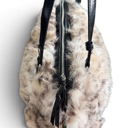 Lince