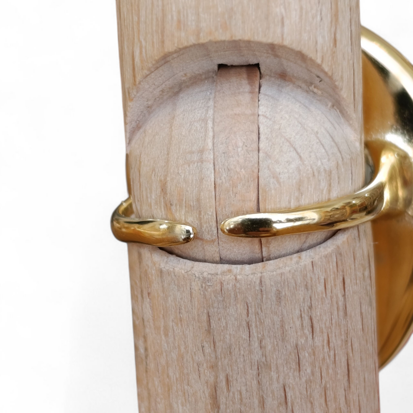 Anillo circunferencia